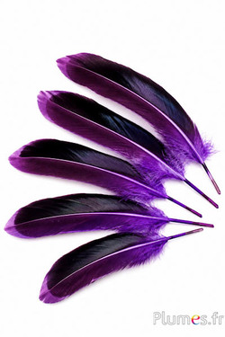 Eend - 8-10 cm - aubergine